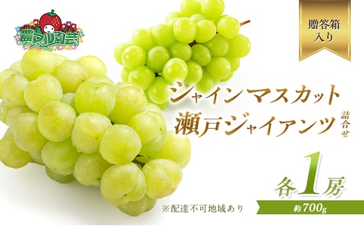 ぶどう 2026年 先行予約 シャイン マスカット 1房 瀬戸ジャイアンツ 1房 各約700g 詰合せ 贈答箱 ブドウ 葡萄 フルーツ 果物 岡山 赤磐市産 農マル園芸 あかいわ農園 種なし 皮ごと 甘い 