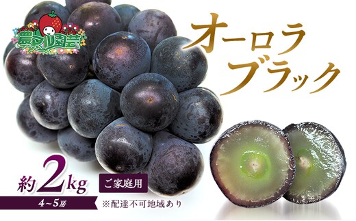 ぶどう 2026年 先行予約 オーロラブラック 約2kg 4～5房 ご家庭用 ブドウ 葡萄 フルーツ 果物 岡山 赤磐市産 農マル園芸 あかいわ農園 種なし 大粒 高糖度 