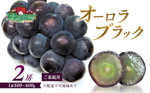 ぶどう 2026年 先行予約 オーロラブラック 2房 1房 500g～600g ご家庭用 ブドウ 葡萄 フルーツ 果物 岡山 赤磐市産 農マル園芸 あかいわ農園 種なし 大粒 高糖度 