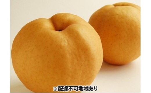 梨 早期受付 岡山 の あたご 梨 3～8玉 合計2kg以上 なし ナシ 岡山県産 国産 フルーツ 果物 ギフト桃茂実苑 