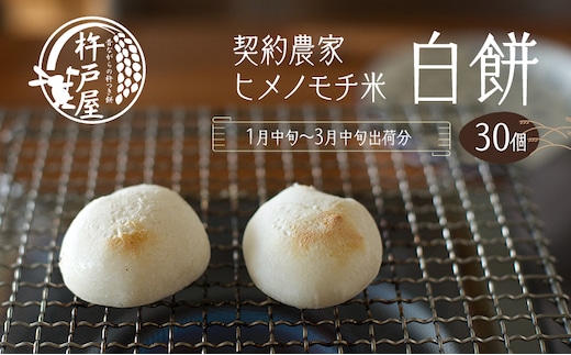 白餅 30個（1袋10個入り保存料無添加 真空パック）杵戸屋 きねとや（2026年1月中旬～3月中旬出荷分） 冬 ヒメノモチ米 粘り コシ 契約農家 安心 安全 手作り 焼き餅 お雑煮 ぜんざい 鍋物 ごちそう 