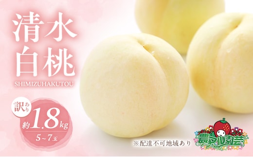 桃 2026年 先行予約 訳あり品 清水 白桃 約1.8kg 5～7玉 もも モモ フルーツ 果物 岡山 赤磐市産 農マル園芸 あかいわ農園 甘い 果肉 人気 