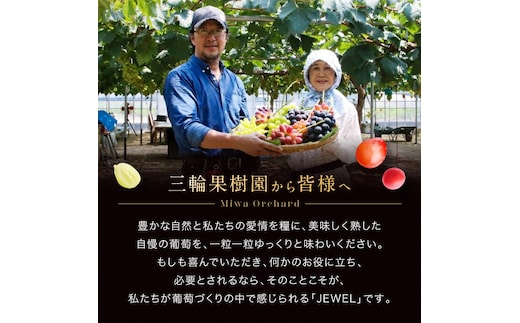 ぶどう 2026年 先行予約 ジュエルボックス 皮ごと食べることのできる