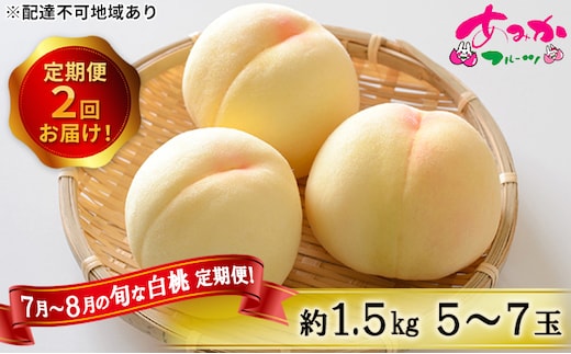 桃 定期便 2026年 先行予約 7月～8月 の旬な 白桃 定期便！約1.5kg 5～7玉 2回お届け！ もも モモ 岡山県 赤磐市産 国産 フルーツ 果物 ギフト あみかフルーツ 柔らかい ジューシー 