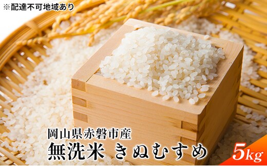 令和7年度産 無洗米 きぬむすめ 5kg 白米 お米 岡山 赤磐市産 精米 ご飯 おにぎり ライス もちもち ツヤのある炊き上がり 7年連続特Aランクを獲得 