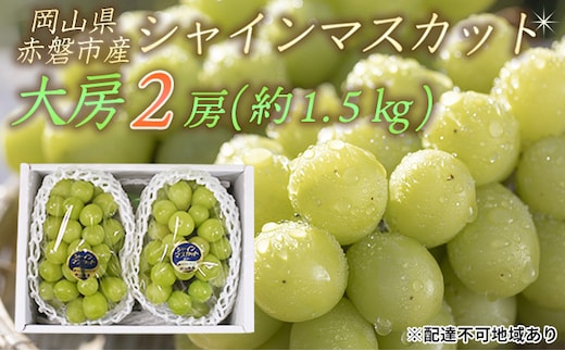 ぶどう 2026年 先行予約 シャイン マスカット 大房 2房 約1.5kg 秀品 ブドウ 葡萄 岡山 赤磐市産 国産 フルーツ 果物 ギフト 果物類 デザート 食後 産地直送 甘い 種なし 皮ごと 大粒 