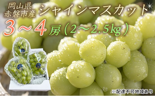 ぶどう 2026年 先行予約 シャイン マスカット 3～4房 約2.0～2.5kg 秀品 ブドウ 葡萄 岡山 赤磐市産 国産 フルーツ 果物 ギフト 果物類 デザート 食後 産地直送 大房 甘い 種なし 皮ごと 大粒 