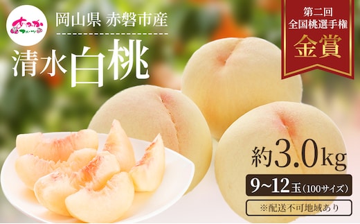 桃 2026年 先行予約 清水 白桃 をお届け！約3.0kg 9～12玉 糖度センサー選果 糖度12度以上 もも モモ 岡山県 赤磐市産 国産 フルーツ あみかフルーツ 