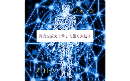 究極の美肌エステ 利用券 体験 美容 