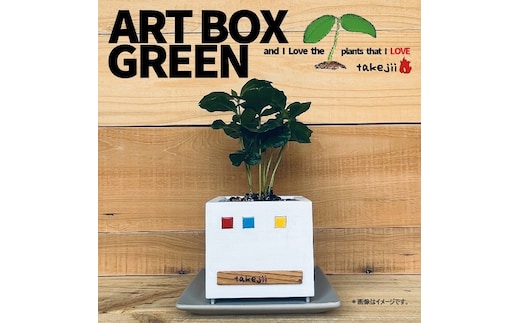 インテリア ART BOX GREEN / 002(□） アートボックス 観葉植物 多肉植物 岡山 赤磐市 takejii craft