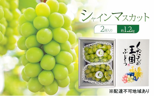 ぶどう 2026年 先行予約 シャインマスカット 2房入り 約1.2kg 岡山県 赤磐市 ブドウ 葡萄 果物 フルーツ