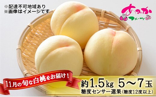 桃 2026年 先行予約 11月の旬な 白桃 冬桃 をお届け！約1.5kg 5～7玉 糖度センサー選果 糖度12度以上 もも モモ 岡山県 赤磐市産 国産 フルーツ 果物 ギフト あみかフルーツ 岡山 旬の桃 少し小ぶり