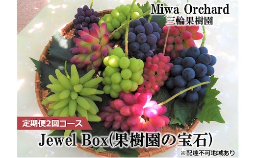 ぶどう 2026年 先行予約 ジュエルボックス 皮ごと食べることのできる 葡萄 4～5品種 詰合せ 約2kg 定期便 2回 コース ブドウ 葡萄 岡山県 赤磐市産 国産 フルーツ 果物 ギフト 三輪果樹園 岡山のぶどう 食べ比べ