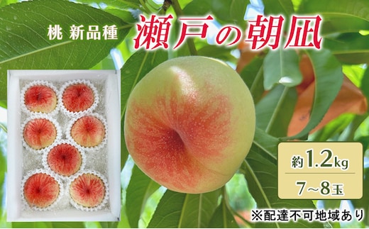 桃 2026年 先行予約 瀬戸の朝凪 KU-PP1 約1.2kg 7～8玉 新品種 モモ もも フルーツ 果物 岡山 赤磐市産