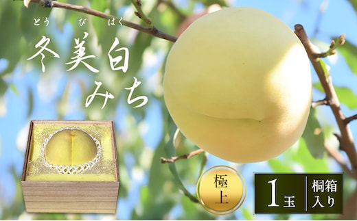 桃 2026年 先行予約 白桃 冬美白 とうびはく 極上1玉 「みち」 桐箱入り もも モモ 令和7年 岡山 赤磐市産 国産 フルーツ 果物 ギフト 果肉 しっかり 柔らかい 食感 大変貴重 高糖度 栽培方法