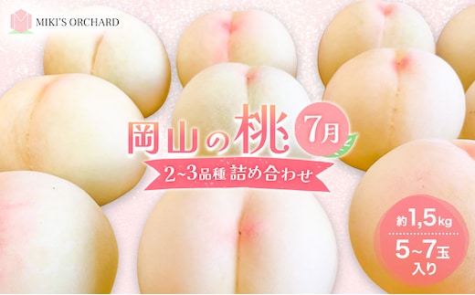 桃 【訳あり 2級品】 2026年 先行予約 岡山の桃 7月の桃 2～3品種 詰め合わせ セット 5～7玉入り 約1.5kg MIKI’S ORCHARD もも モモ 果物 岡山 家庭用