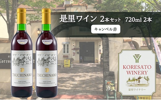 是里 ワイン 果実酒 キャンベル赤 720ml 2本 岡山 赤磐市 お酒