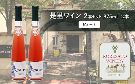 是里 ワイン 果実酒 ピオーネ 375ml 2本 岡山 赤磐市 お酒