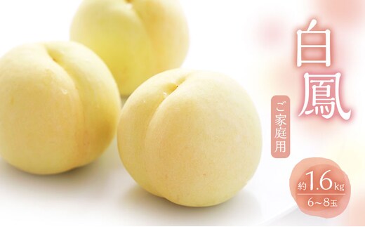 桃 2027年 数量限定 白桃 白鳳 約1.6kg 6～8玉 ご家庭用 フルーツ 果物 岡山 赤磐市産