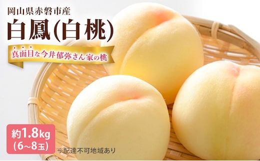 桃 2026年 先行予約 真面目な今井郁弥さん家の桃 白桃 白鳳 約1.8kg 6～8玉 フルーツ 果物 岡山 赤磐市産