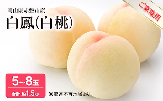 桃 2026年 先行予約 白桃 白鳳 約1.5kg 5～8玉 ご家庭用 フルーツ 果物 岡山 赤磐市産
