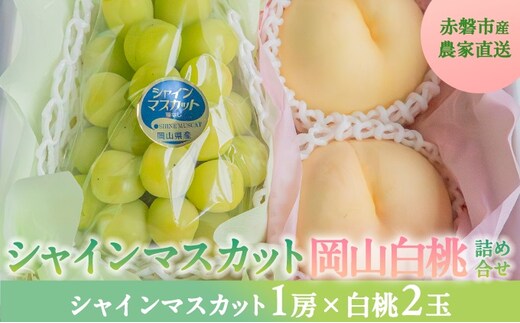 桃 ぶどう 2026年 先行予約 岡山県産 シャインマスカット 大房 1房 白桃 2玉 詰合せ 合計約1.3kg 赤磐市産 フルーツ 果物 ギフト デザート