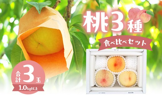 桃 2026年 数量限定 桃3種食べ比べセット 3種×各1玉 計1.0kg以上 岡山県 赤磐市産