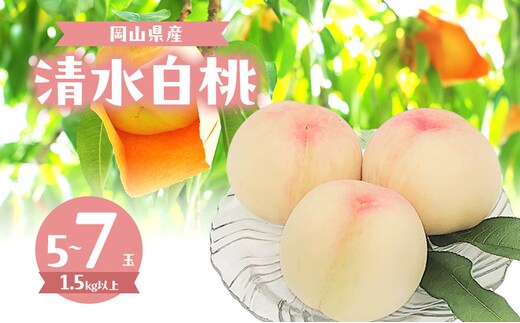 桃 2026年 数量限定 清水白桃 5～7玉 計1.5kg以上 岡山県 赤磐市産