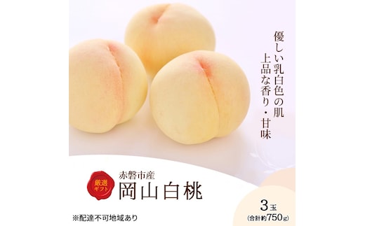 桃 2026年 先行予約 岡山白桃 3玉 約750g 化粧箱入り 岡山県 赤磐市産 果物 フルーツ 白桃 もも モモ