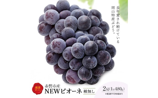 ぶどう 2026年 先行予約 ピオーネ 2房 1房約480g 化粧箱入り 岡山県 赤磐市産 果物 フルーツ 葡萄 ブドウ
