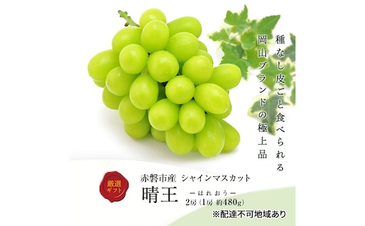 ぶどう 2026年 先行予約 シャインマスカット 晴王 2房 1房約480g 化粧箱入り 岡山県 赤磐市産 果物 フルーツ 葡萄 ブドウ