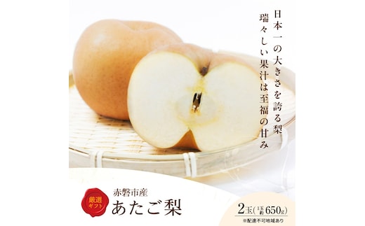 梨 2026年 先行予約 あたご梨 2玉 岡山県 赤磐市産 果物 フルーツ