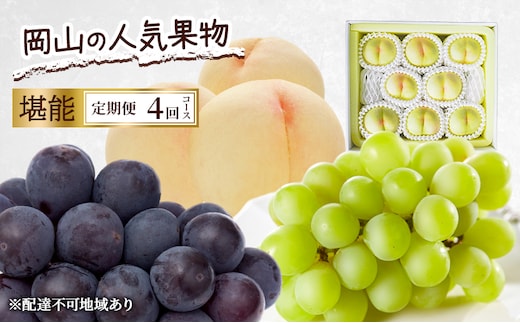定期便 2026年 先行予約 岡山の人気果物 堪能 4回コース 清水白桃 桃 白桃 ぶどう ピオーネ シャインマスカット 赤磐市