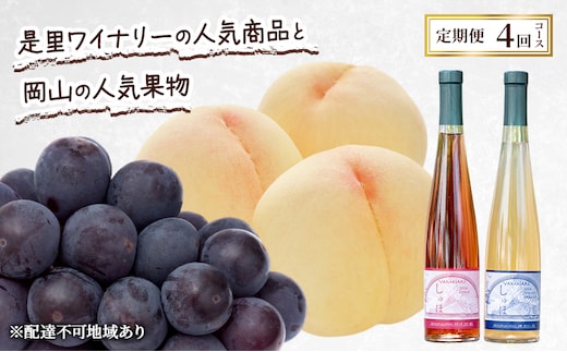 定期便 2026年 先行予約 是里ワイナリーのワインと岡山の人気果物 コンテスト 4回コース 桃 白桃 ワイン ぶどう ピオーネ 赤磐市