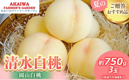 桃 2026年 先行予約 清水 白桃 約750g 3玉 もも 岡山県 赤磐市産 フルーツ 果物 あかいわファーマーズガーデン 果物類