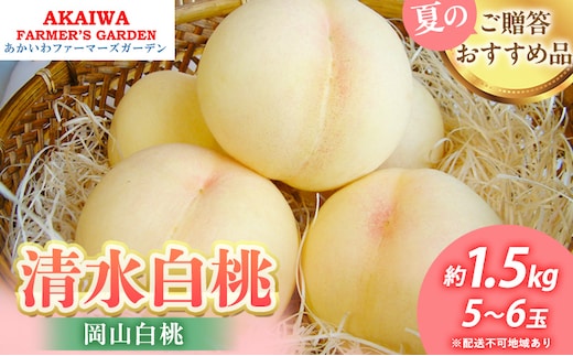 桃 2026年 先行予約 清水 白桃 約1.5kg 5～6玉 もも 岡山県 赤磐市産 フルーツ 果物 あかいわファーマーズガーデン