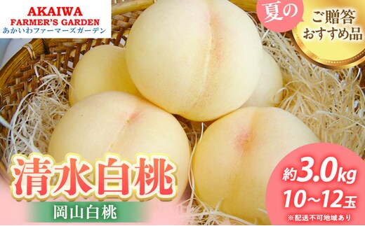 桃 2026年 先行予約 清水 白桃 約3.0kg 10～12玉 もも 岡山県 赤磐市産 フルーツ 果物 あかいわファーマーズガーデン 果物類