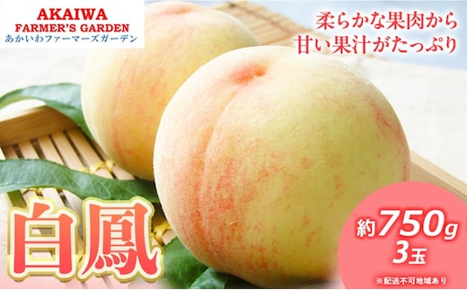 桃 2026年 先行予約 白桃 白鳳 約750g 3玉 もも 岡山県 赤磐市産 フルーツ 果物 あかいわファーマーズガーデン 果物類