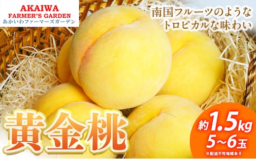 桃 2026年 先行予約 黄金桃 約1.5kg 5～6玉もも 岡山県 赤磐市産 フルーツ 果物 あかいわファーマーズガーデン