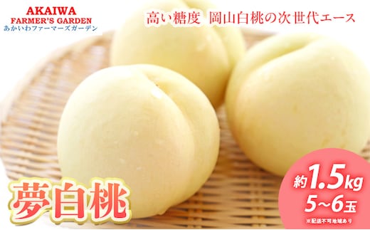 桃 2026年 先行予約 おかやま 夢 白桃 約1.5kg 5～6玉 もも 岡山県 赤磐市産 フルーツ 果物 あかいわファーマーズガーデン
