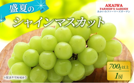 ぶどう 2026年 先行予約 シャインマスカット 700g以上 1房 盛夏 葡萄 岡山県 赤磐市産 フルーツ 果物 あかいわファーマーズガーデン 果物類