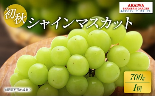 ぶどう 2026年 先行予約 シャインマスカット 約700g 1房 初秋 葡萄 岡山県 赤磐市産 フルーツ 果物 あかいわファーマーズガーデン 果物類