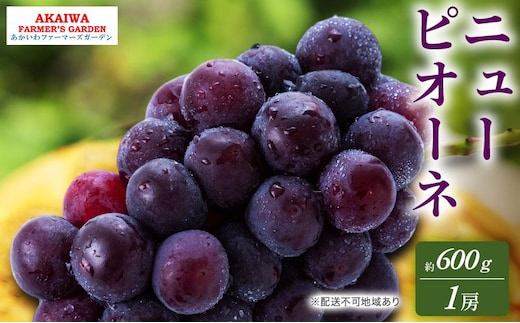 ぶどう 2026年 先行予約 ニューピオーネ 約600g 1房 葡萄 岡山県 赤磐市産 フルーツ 果物 あかいわファーマーズガーデン