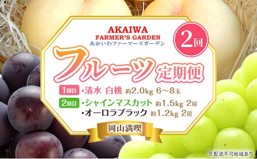 桃 ぶどう 定期便 2026年 先行予約 岡山満喫！ 清水 白桃 約2.0kg 6～8玉 ぶどう 2種 詰合せ 2回に分けてお届け!