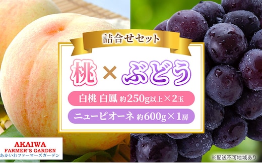 桃 ぶどう 詰合せ 2026年 先行予約 白桃 白鳳 2玉（1玉250g以上） ニュー ピオーネ 1房 約600g 岡山県 赤磐市産 フルーツ 果物 あかいわファーマーズガーデン