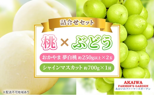 桃 ぶどう 詰合せ 2026年 先行予約 おかやま 夢 白桃 2玉（1玉250g以上） シャイン マスカット 1房 約700g 岡山県 赤磐市産 フルーツ 果物 あかいわファーマーズガーデン