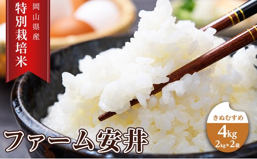 お米 【2025年11月～発送予定】 特別栽培米 きぬむすめ 4kg (2kg×2袋) 米 白米 岡山県産 ファーム安井 精米 ライス ご飯 おにぎり お弁当 和食 主食 国産 炭水化物 直送 産地直送 粘り強い ふっくら 柔らかい