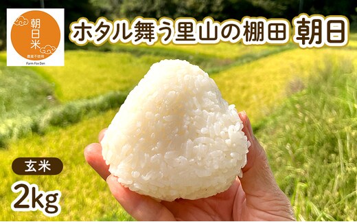 令和7年産 朝日 玄米2kg ホタル舞う里山の棚田 栽培期間中 農薬 化学肥料不使用 米 岡山県 赤磐市 朝日米