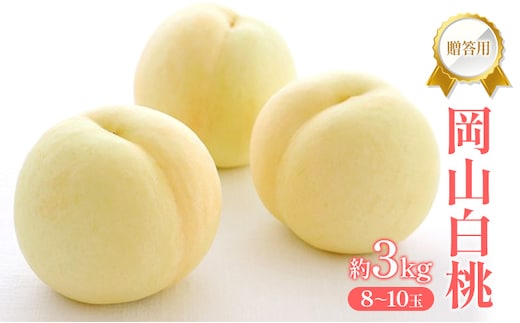桃 2027年 先行受付 贈答用 岡山 白桃 約3kg (8～10玉) フルーツ 果物 岡山 赤磐市
