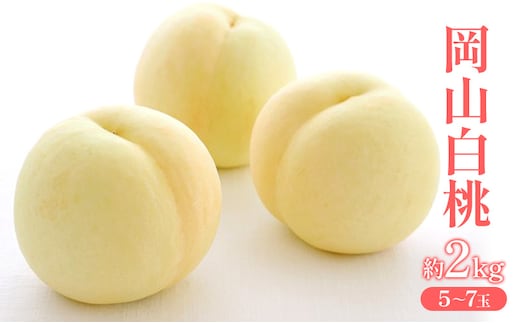 桃 2027年 先行受付 岡山 白桃 約2kg (5～7玉) フルーツ 果物 岡山 赤磐市